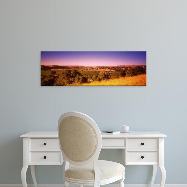 Easy Art Prints Panoramic Image 'Firestone Vineyard, Los Olivos, Santa Ynez, Santa Barbara, California' Canvas Art