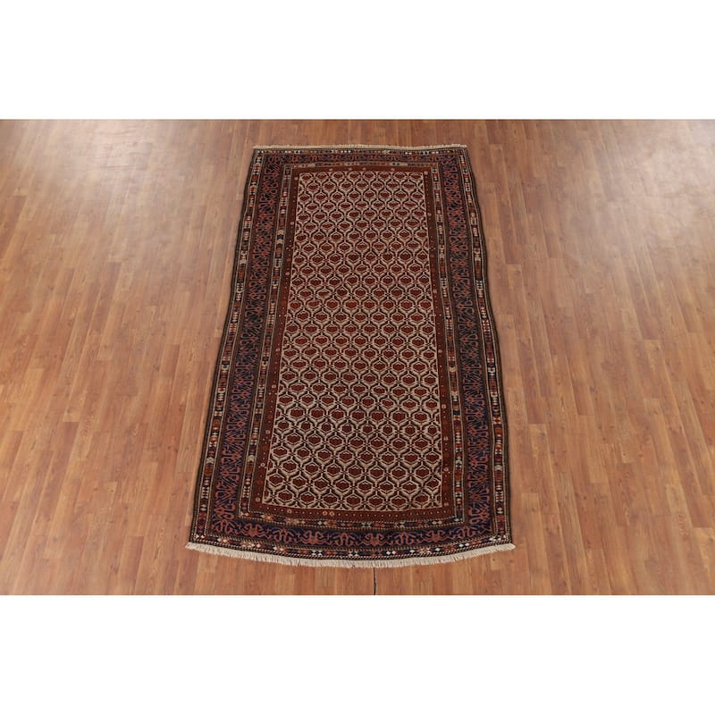Pre-1900 Antique Vegetable Dye Shirvan Persian Wool Carpet - 4'10" x 8'7"