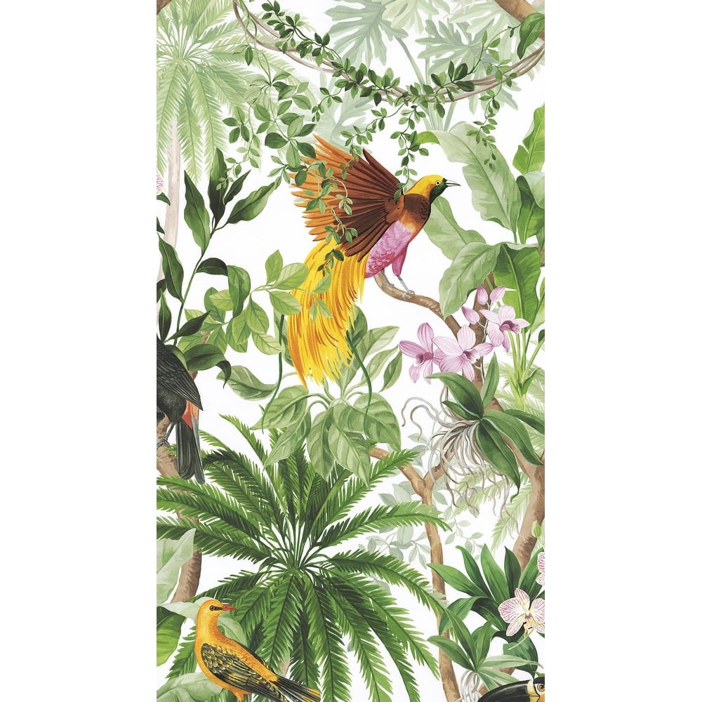 Harry & Grace Tropical Bird Peel and Stick Wallpaper