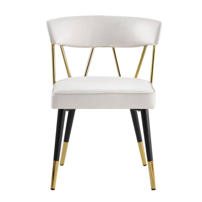 Best Master Furniture Meyer Velvet Side Chair with Gold Accents (Set of 2)