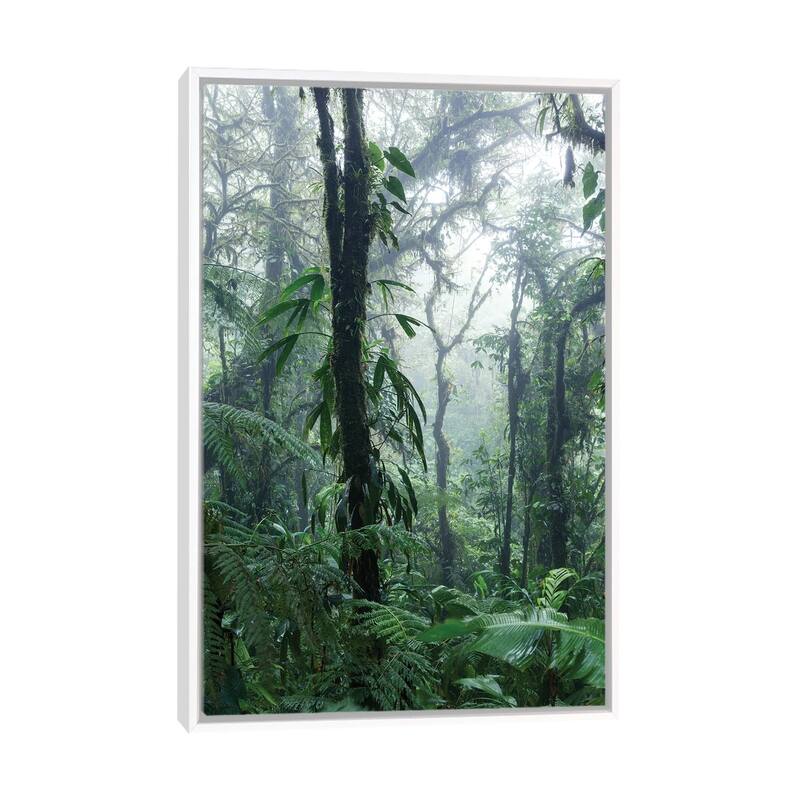 iCanvas "Monteverde Cloud Forest, Costa Rica" by Matteo Colombo Framed Canvas Print - White - 40x26