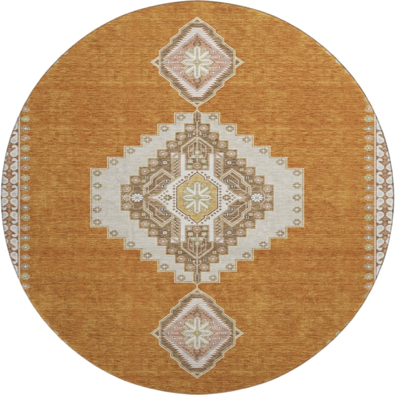 Premium Washable Super Soft Traditional Boho Mayfield Rug