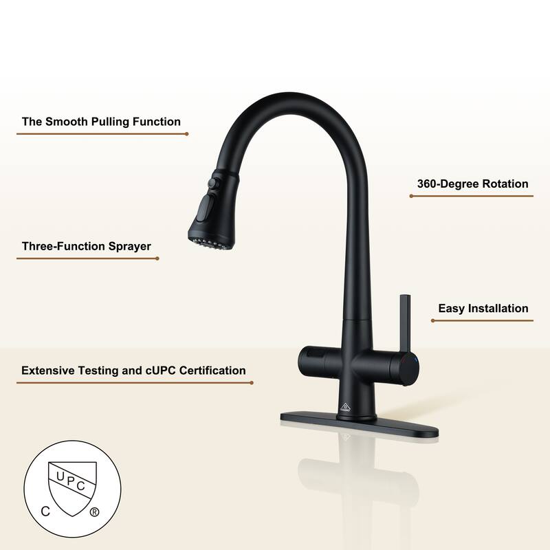 Single-Handle Pull-Out Sprayer Kitchen Faucet with Digital Display