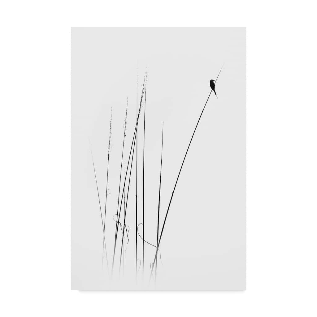 Swapnil 'A Sabbatical' Canvas Art