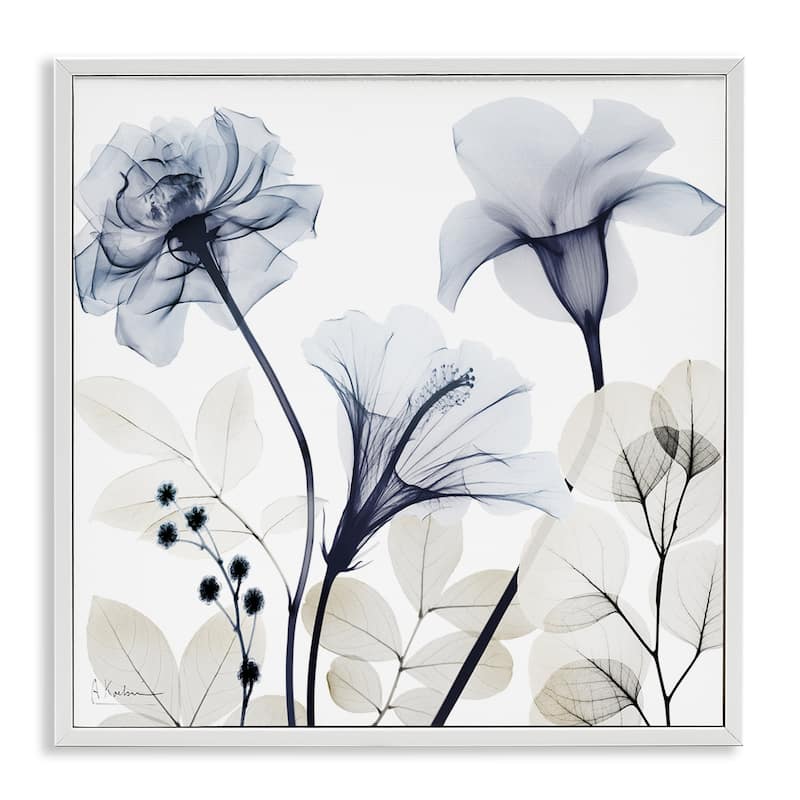 Stupell Sophisticated Minimal Flowers Framed Giclee Art Design By Albert Koetsier - 17 x 17 - White