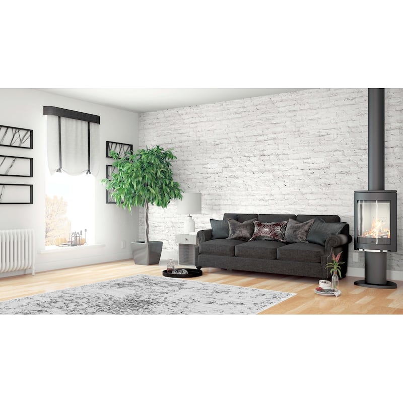 La Dole Rugs Grey Gray Silver Modern Machine washable Area Rug Carpet Living Room Outdoor Patio 5x7, 8x10, 7X9 feet