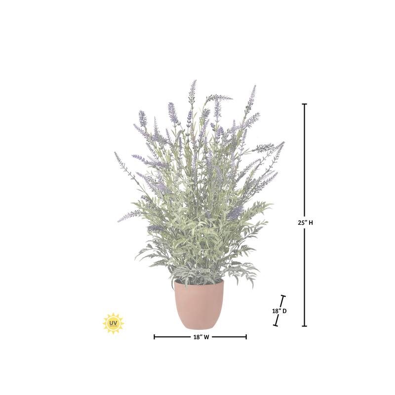 25" Potted UV Lavender Plant