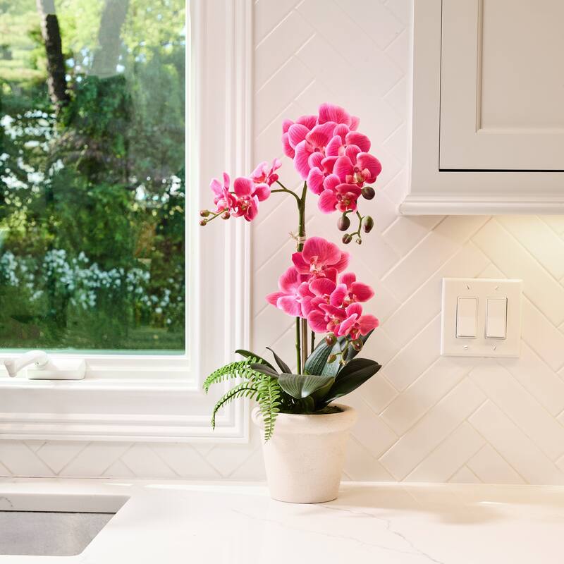 23" Phalaenopsis 3 buds And Fern In Terracotta Pot