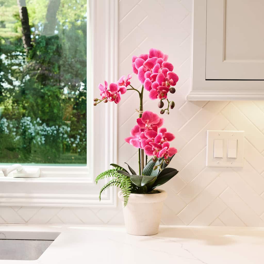 23" Phalaenopsis 3 buds And Fern In Terracotta Pot