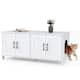 Option White