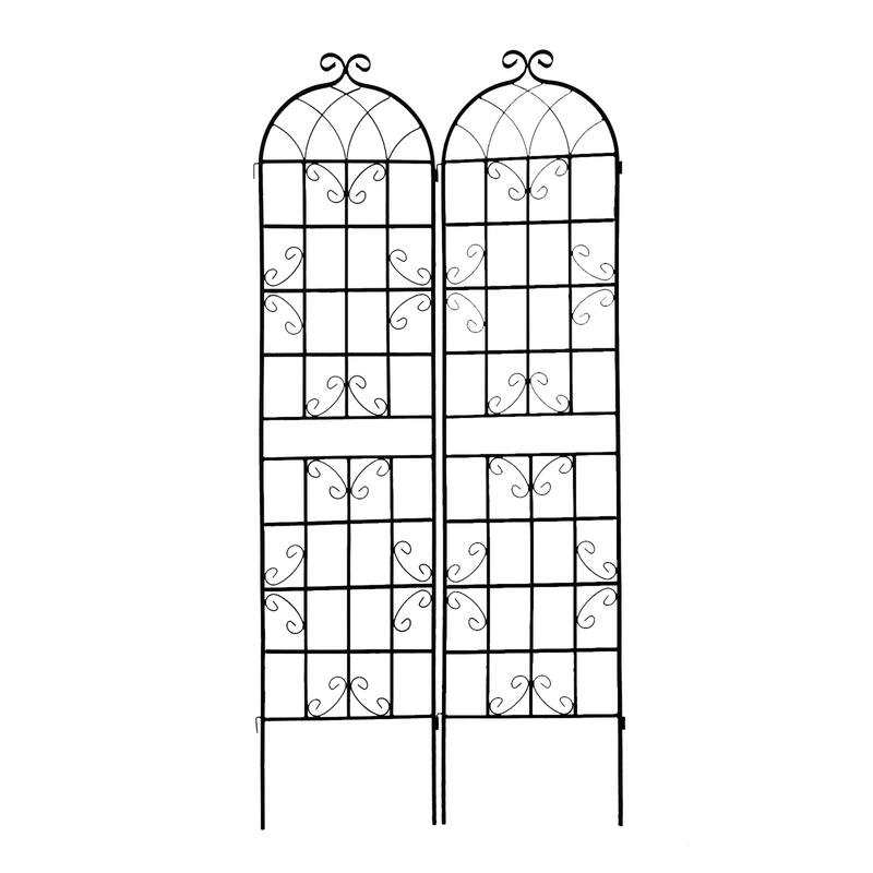 Black 2 Pack Metal Garden Rustproof Trellis Outdoor Flower Support