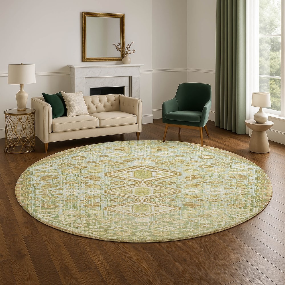 Premium Washable Super Soft Traditional Global Mayfield Rug