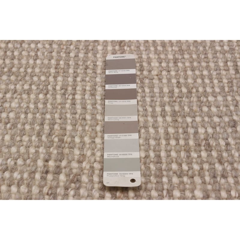 ECARPETGALLERY Braid weave Sienna Taupe Wool Rug - 5'0 x 8'0