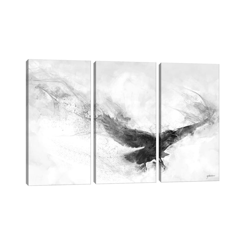iCanvas "Raven's Flight" by Steve Goad 3-Piece Canvas Wall Art Set