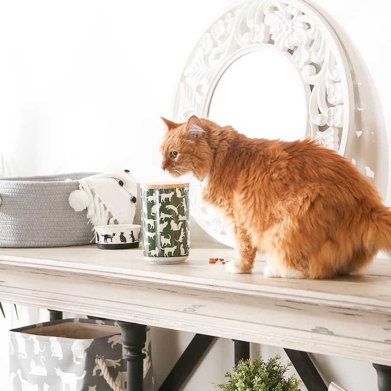 Bone Dry Cats Meow Ceramic Treat Canister