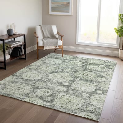 Machine Washable Indoor/ Outdoor Chantille Vintage Persian Rug
