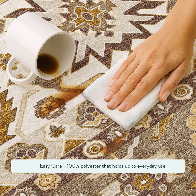 Machine Washable Indoor/ Outdoor Traditional Aspen Chantille Rug