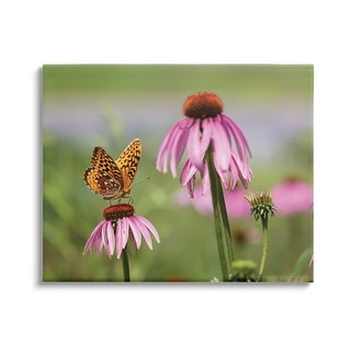 Stupell Butterfly On Purple Flower Canvas Wall Art Design By Karen 