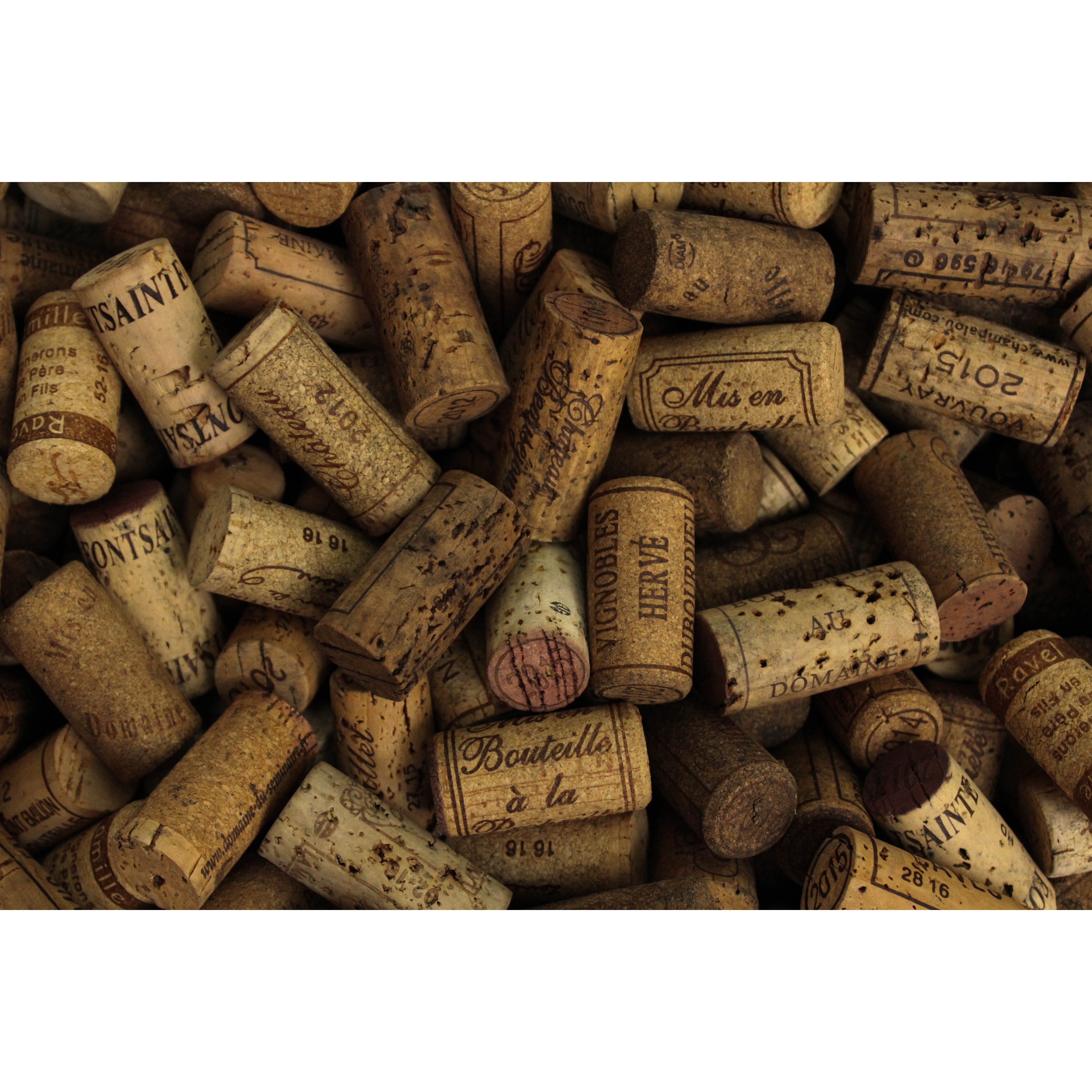 Shop Texture Wine French Photograph Art Print Wall Artwork Decor