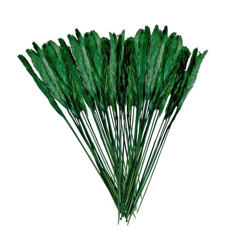 Bundle of 4 Preserved flowers Small pampass grass, 20" long - 20 inch - Dark Green