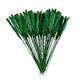 Option Dark Green