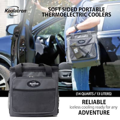 D13 Hybrid Portable 12V Cooler Bag, 13 L