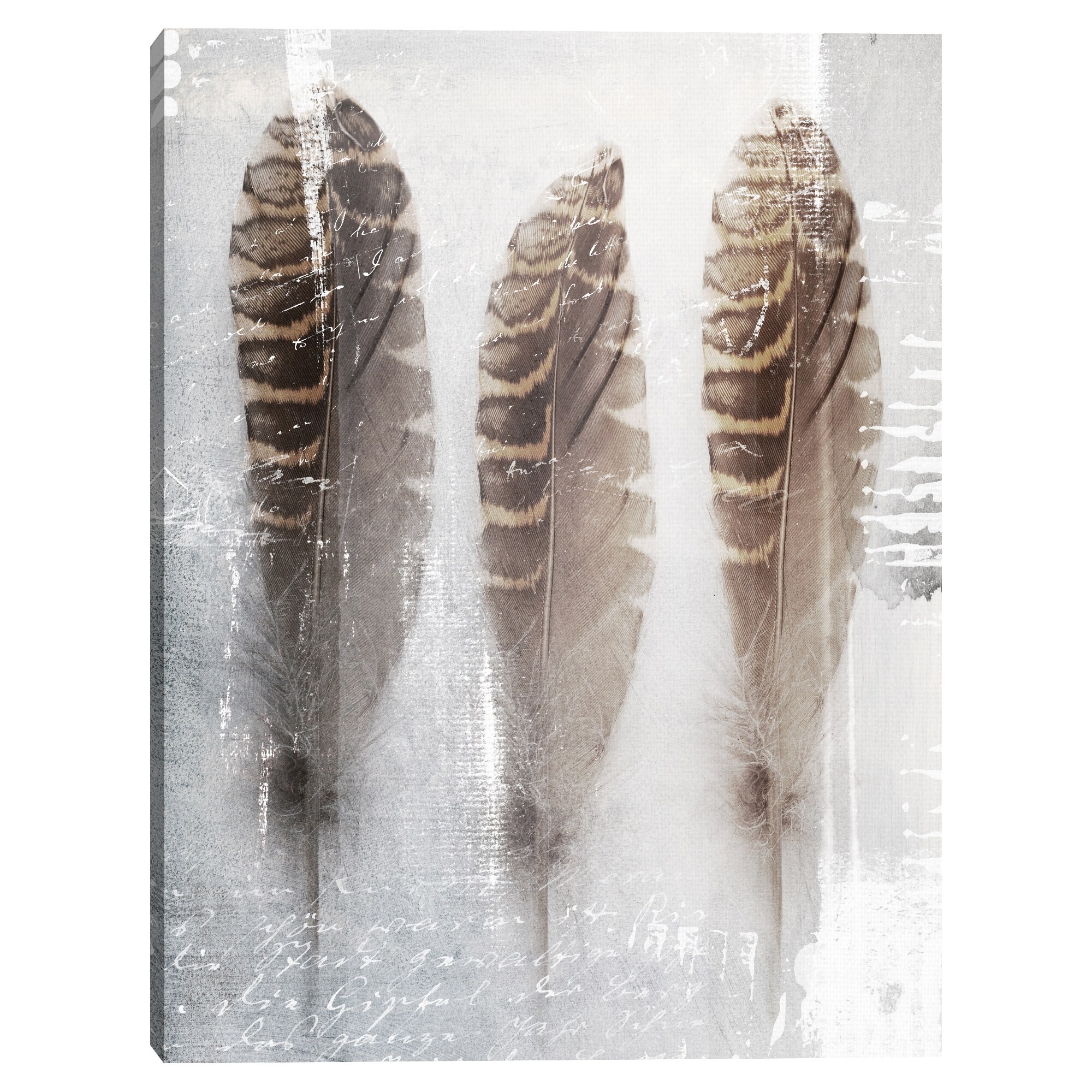 Three feathers print by Editors Choice