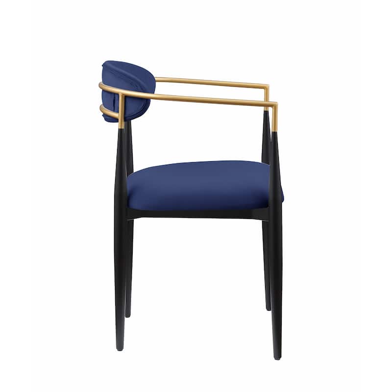 Modern Contemporary 2pcs Side Chairs
