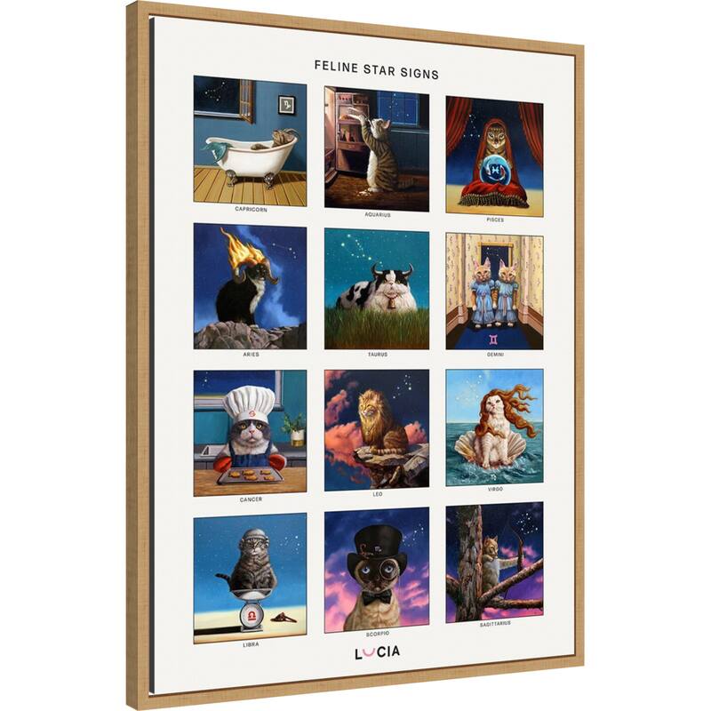 Feline Star Signs by Lucia Heffernan Framed Canvas Wall Art Print