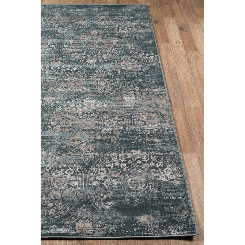 Momeni Juliet Traditional Distressed Design Area Rug
