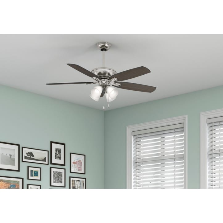 Hunter 52' Amberlin Ceiling Fan with LED Light Kit, Pull Chains - Farmhouse, Transitional, Rustic