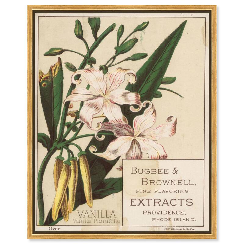 Vanilla Planifolia Canvas by Art Remedy - Gold - 30" x 36"