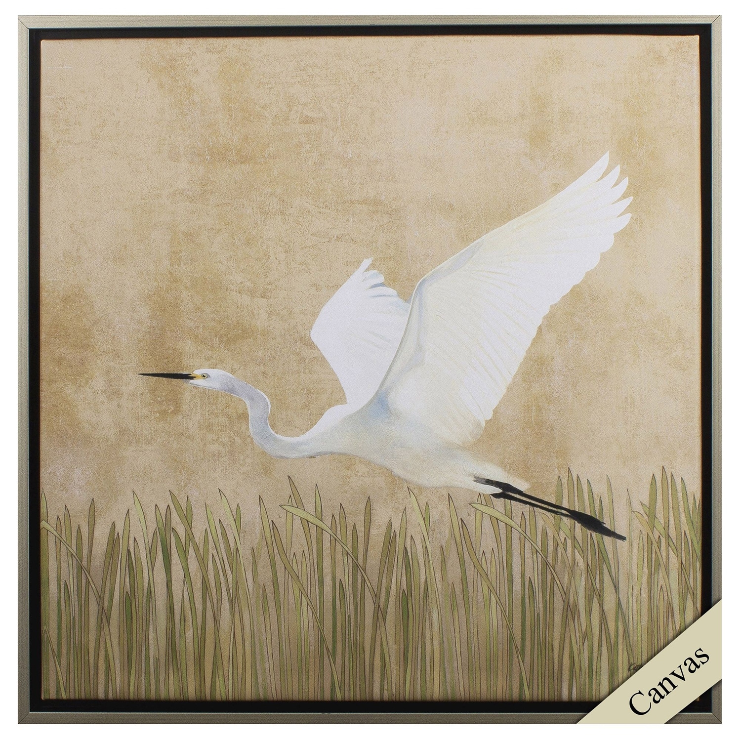 Egret Alighting II - Giclee on Canvas