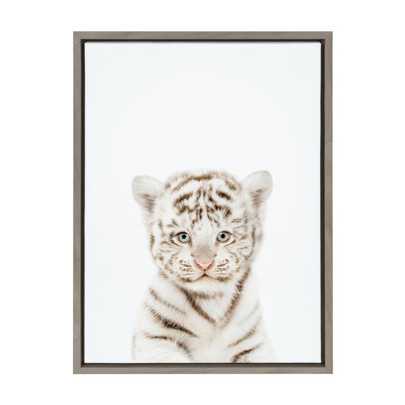 Kate and Laurel Sylvie Animal Studio Baby White Tiger Framed Canvas by Amy Peterson Art Studio