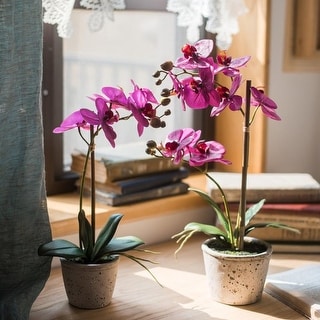 RusticReach Artificial Purple Orchid Potted Plant in Various Size - Bed ...