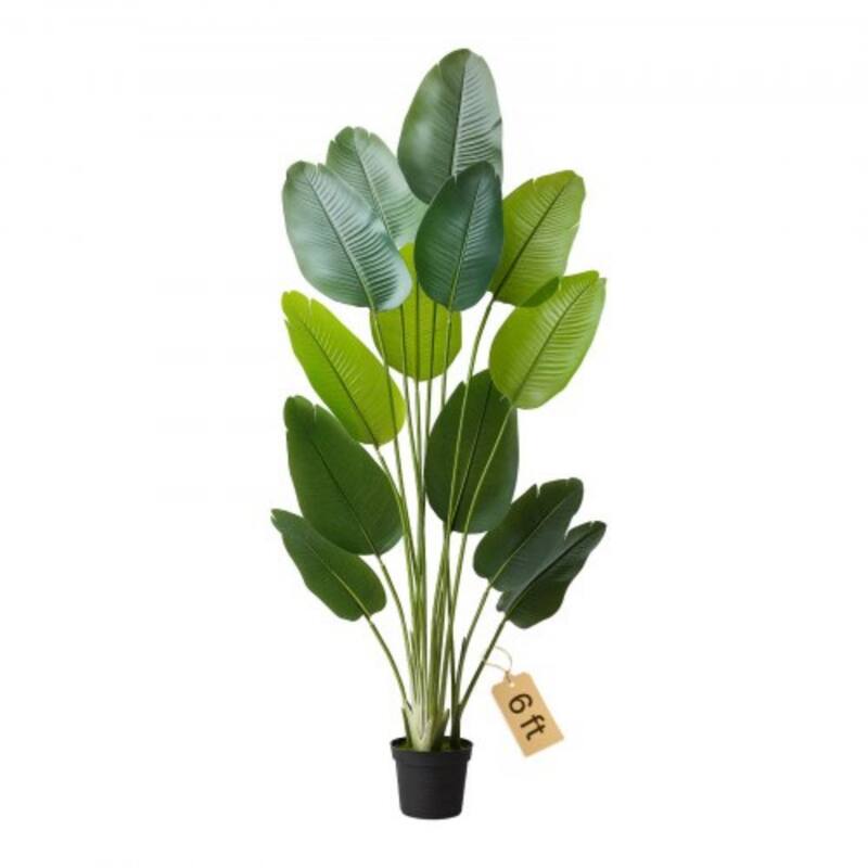 6ft Faux Bird of Paradise Tree with Sturdy PE Material and Moss Pot for Indoor Decorative Plant - 23.62 x 15.75 x 74.8 inch