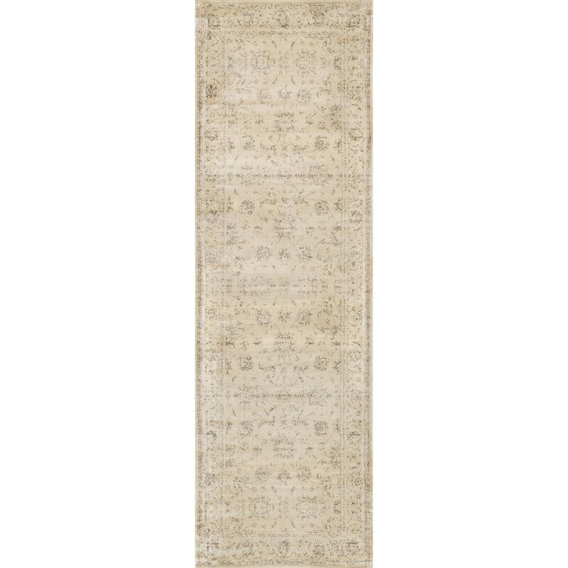 Alexander Home Natalie Traditional Distressed Coffee Floral Rug
