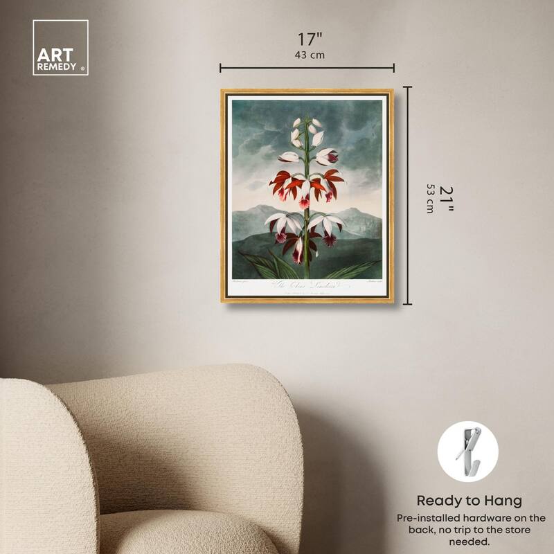 The China Limodoron 1807 Canvas by Art Remedy