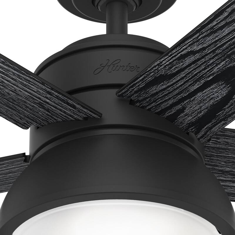 Hunter 44" Lilliput Indoor Ceiling Fan with LED Light, Pull Chain - Modern Industrial, Farmhouse - Exclusive SureSpeed!