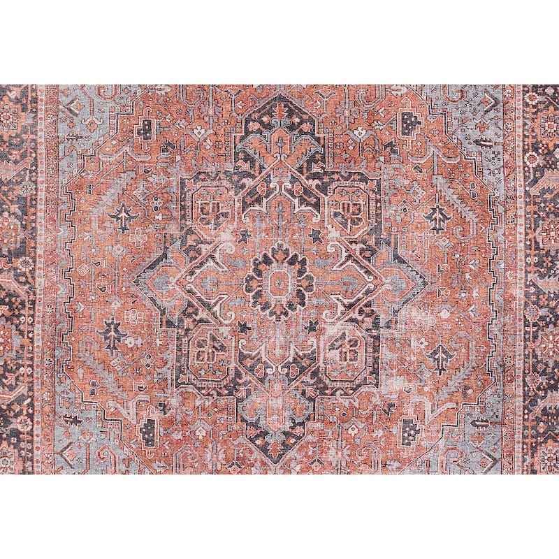 Momeni Afshar Polyester Medallion Area Rug