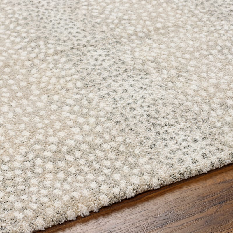 Livabliss Modern & Contemporary Gavic Ombre Area Rug