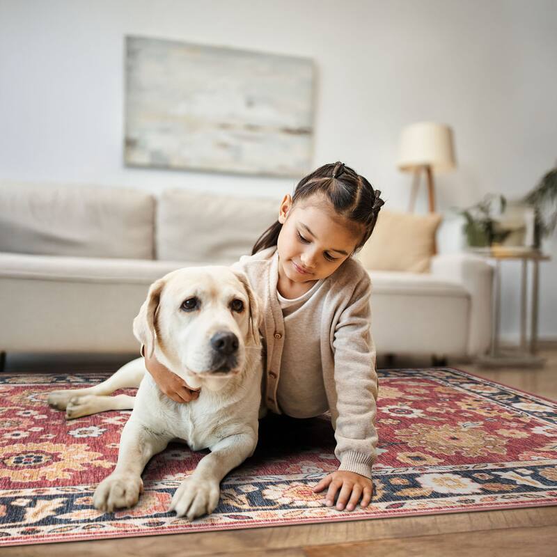 Smart Wash Ambient Glam Oriental Indoor Polyester Area Rug
