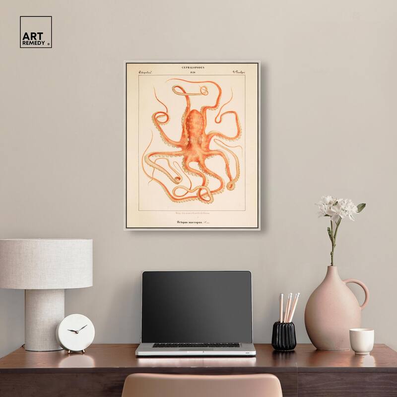 Verany The Octopus 1815 I Canvas by Art Remedy