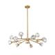 Option Clear / Brushed Brass
