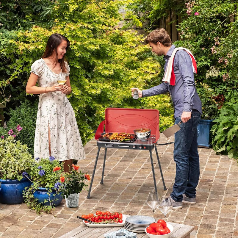 Costway 2-in-1 Propane Grill 2 Burner Camping Gas Stove Portable with - See Details