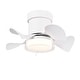 preview thumbnail 1 of 7, Ceiling Fan with 3 Color Temperatures Light and Remote Control DC Motor Powerful and low noise fan for Kitchen Bedroom Matte White
