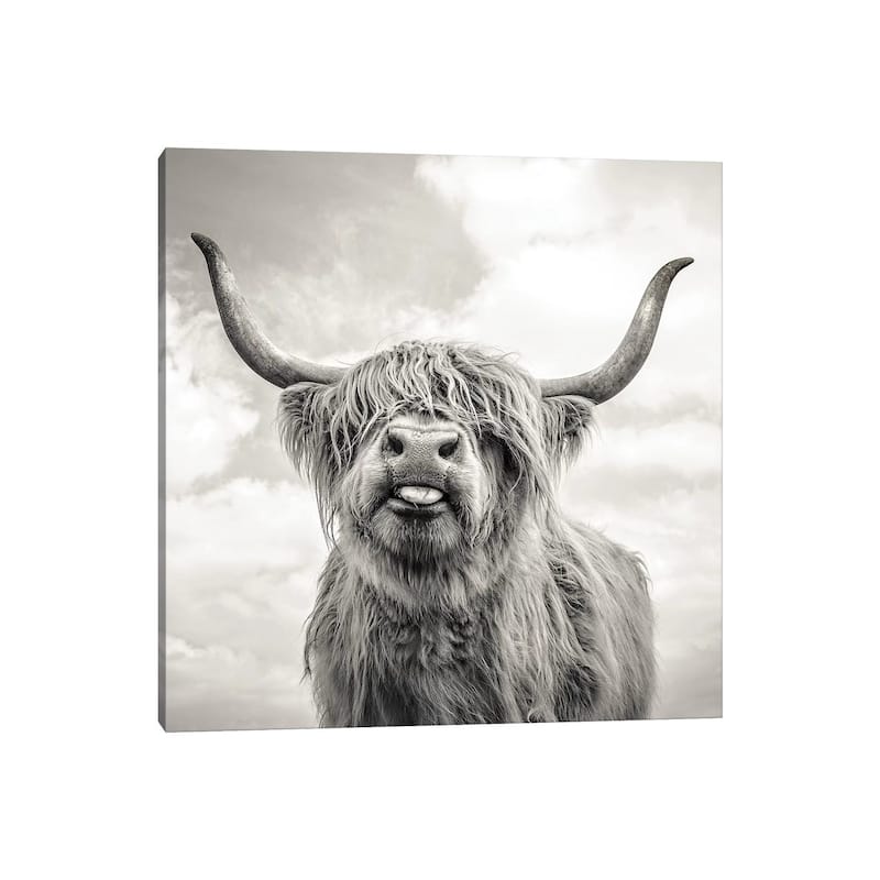 iCanvas 'Funny Girl' by Mark Gemmell Canvas Print