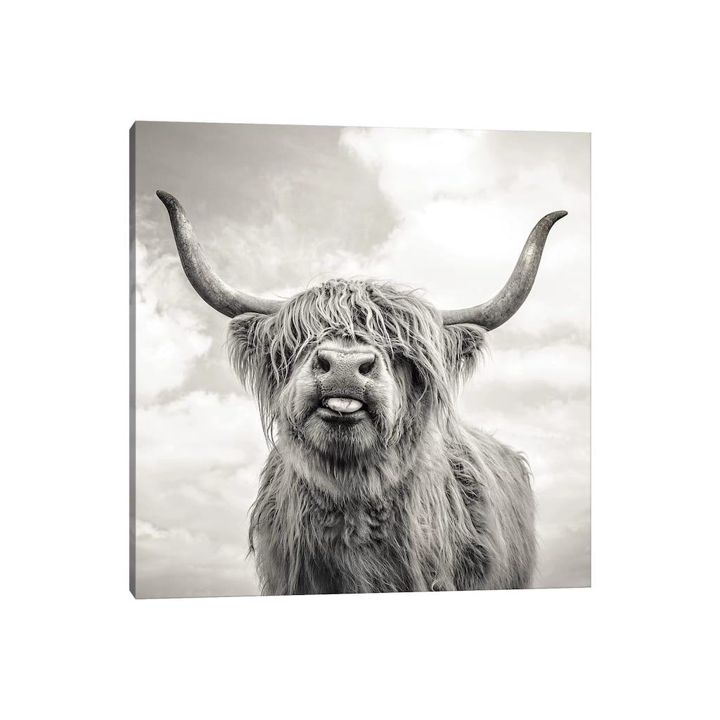 iCanvas 'Funny Girl' by Mark Gemmell Canvas Print