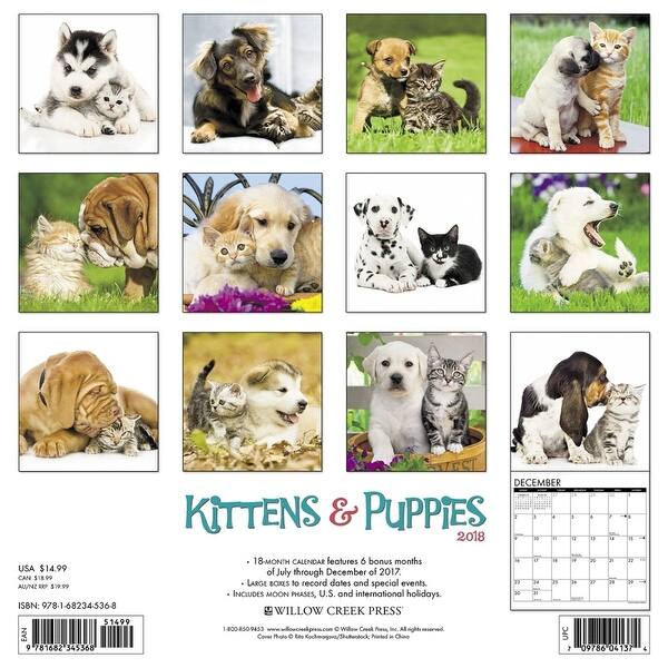 Shop Kittens Puppies Wall Calendar Kittens By Willow Creek