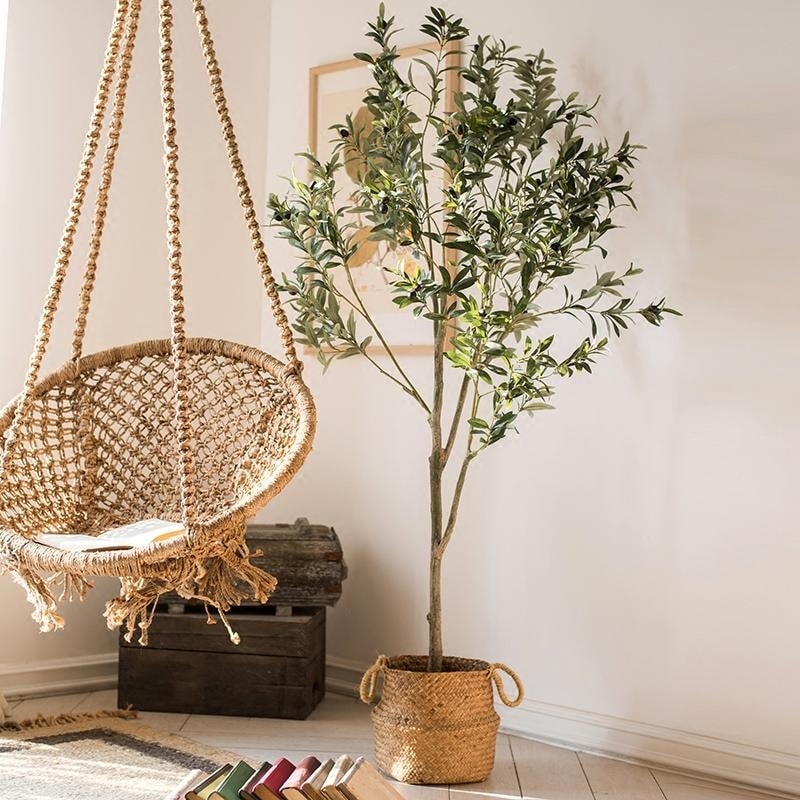 Artificial Plants Online At Our Best Decorative Artificial Plants Online At Our Best Decorative Accessories Deals
